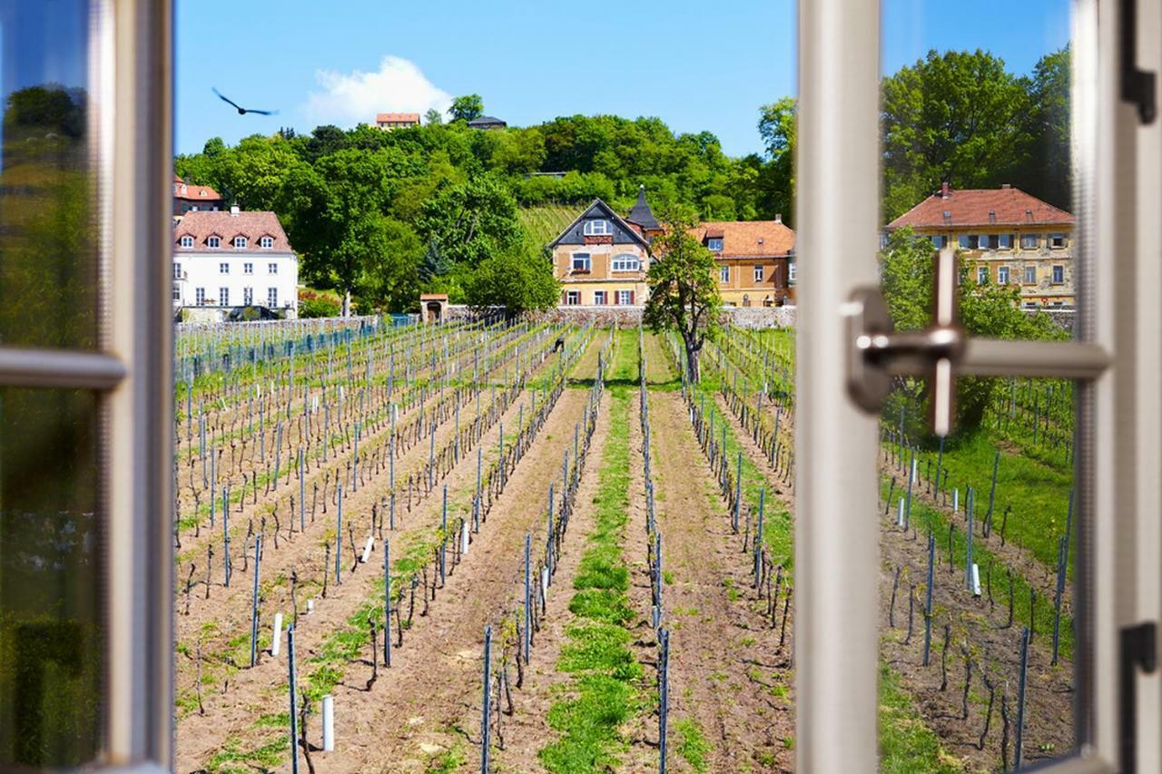 Weingut Haus Steinbach Ferienhaus Radebeul